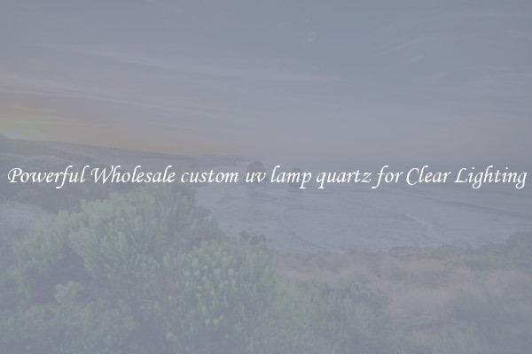 Powerful Wholesale custom uv lamp quartz for Clear Lighting