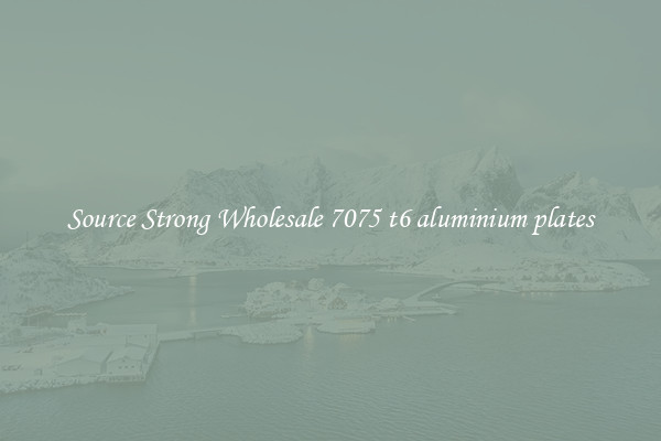 Source Strong Wholesale 7075 t6 aluminium plates