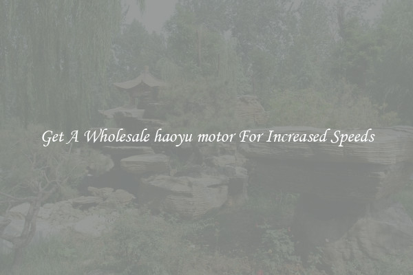 Get A Wholesale haoyu motor For Increased Speeds