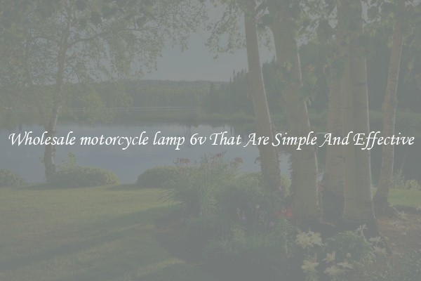 Wholesale motorcycle lamp 6v That Are Simple And Effective