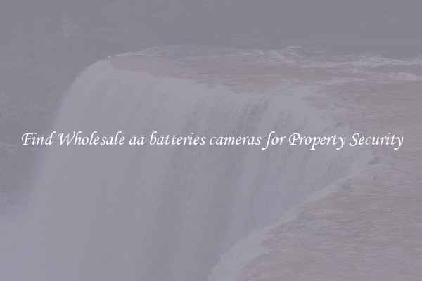 Find Wholesale aa batteries cameras for Property Security