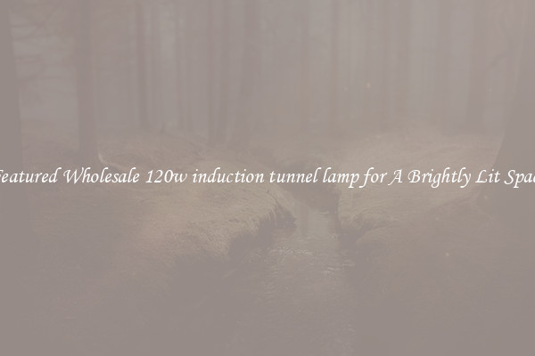 Featured Wholesale 120w induction tunnel lamp for A Brightly Lit Space