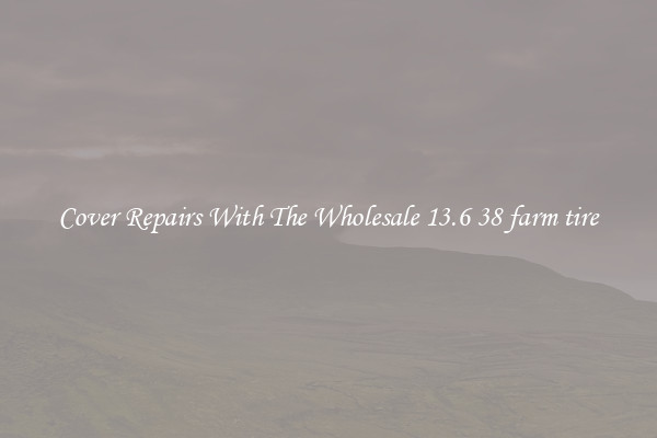  Cover Repairs With The Wholesale 13.6 38 farm tire 