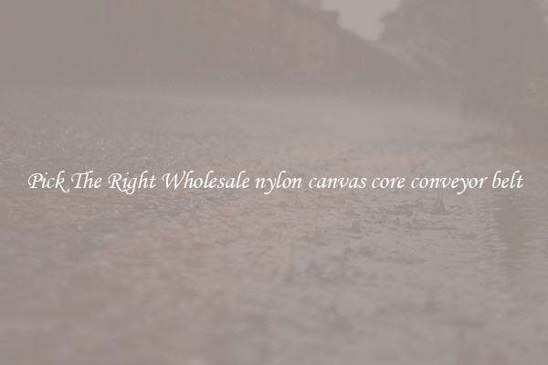 Pick The Right Wholesale nylon canvas core conveyor belt
