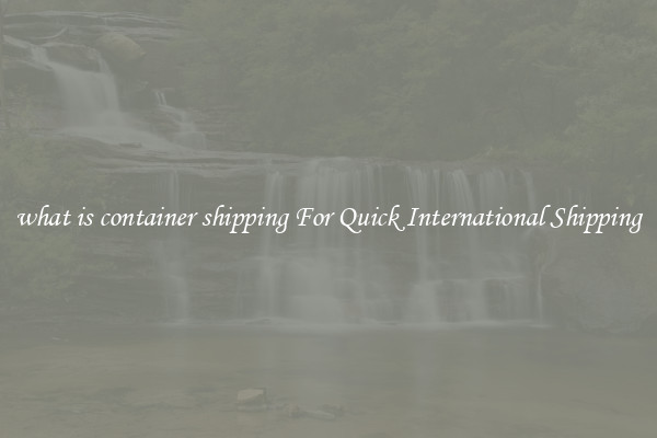 what is container shipping For Quick International Shipping