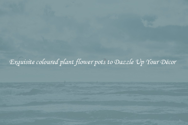 Exquisite coloured plant flower pots to Dazzle Up Your Décor  