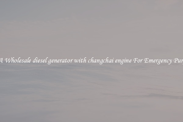 Get A Wholesale diesel generator with changchai engine For Emergency Purposes
