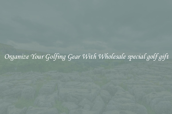 Organize Your Golfing Gear With Wholesale special golf gift