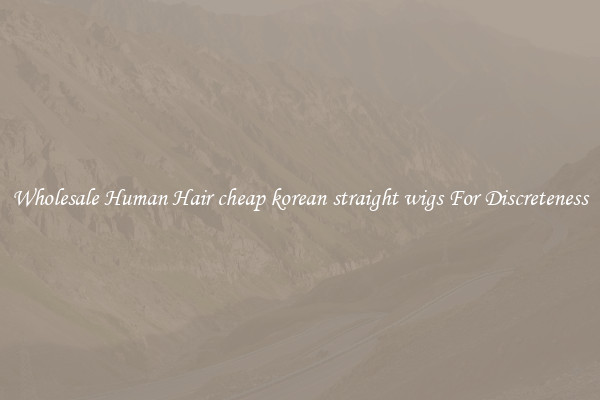 Wholesale Human Hair cheap korean straight wigs For Discreteness