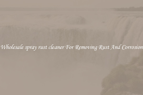 Wholesale spray rust cleaner For Removing Rust And Corrosion