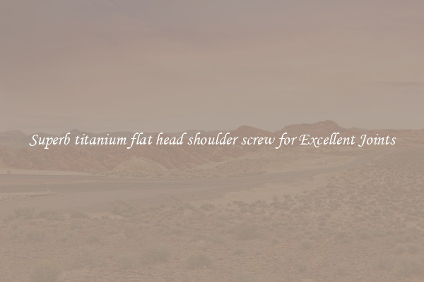 Superb titanium flat head shoulder screw for Excellent Joints