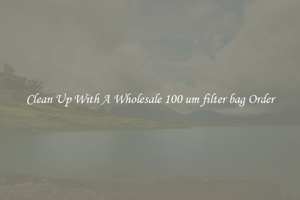 Clean Up With A Wholesale 100 um filter bag Order