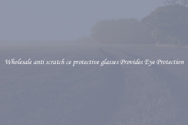 Wholesale anti scratch ce protective glasses Provides Eye Protection