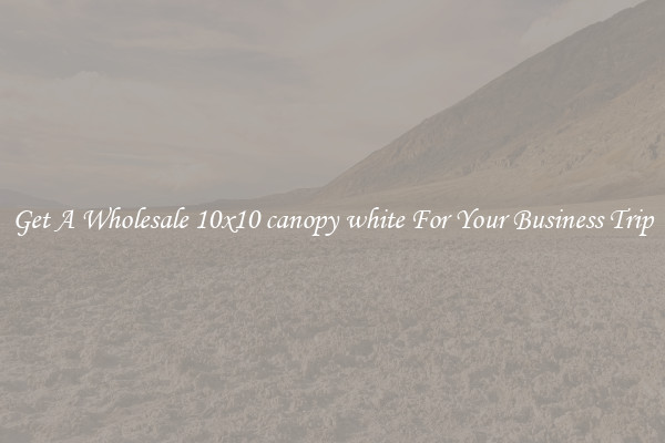 Get A Wholesale 10x10 canopy white For Your Business Trip