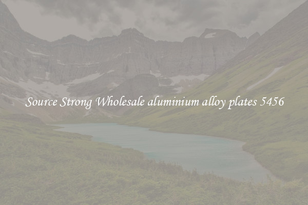 Source Strong Wholesale aluminium alloy plates 5456