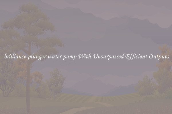 brilliance plunger water pump With Unsurpassed Efficient Outputs