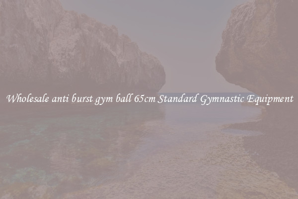 Wholesale anti burst gym ball 65cm Standard Gymnastic Equipment