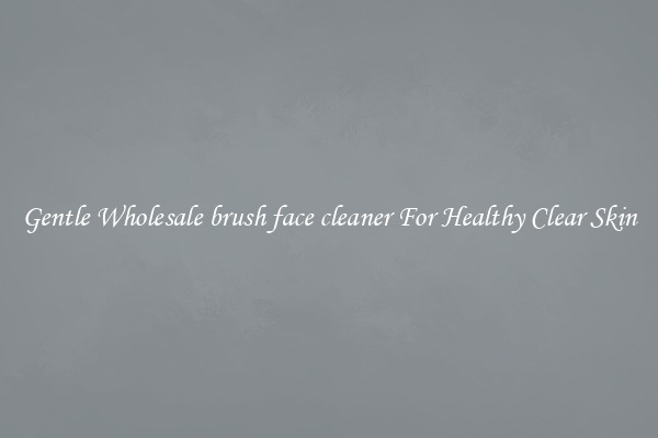 Gentle Wholesale brush face cleaner For Healthy Clear Skin