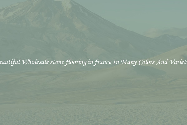 Beautiful Wholesale stone flooring in france In Many Colors And Varieties