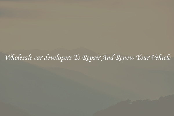 Wholesale car developers To Repair And Renew Your Vehicle