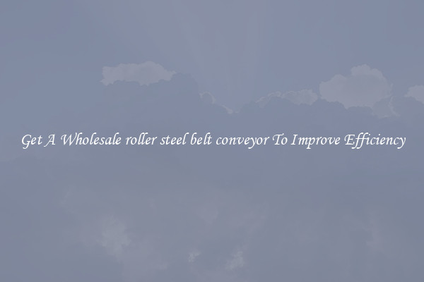 Get A Wholesale roller steel belt conveyor To Improve Efficiency